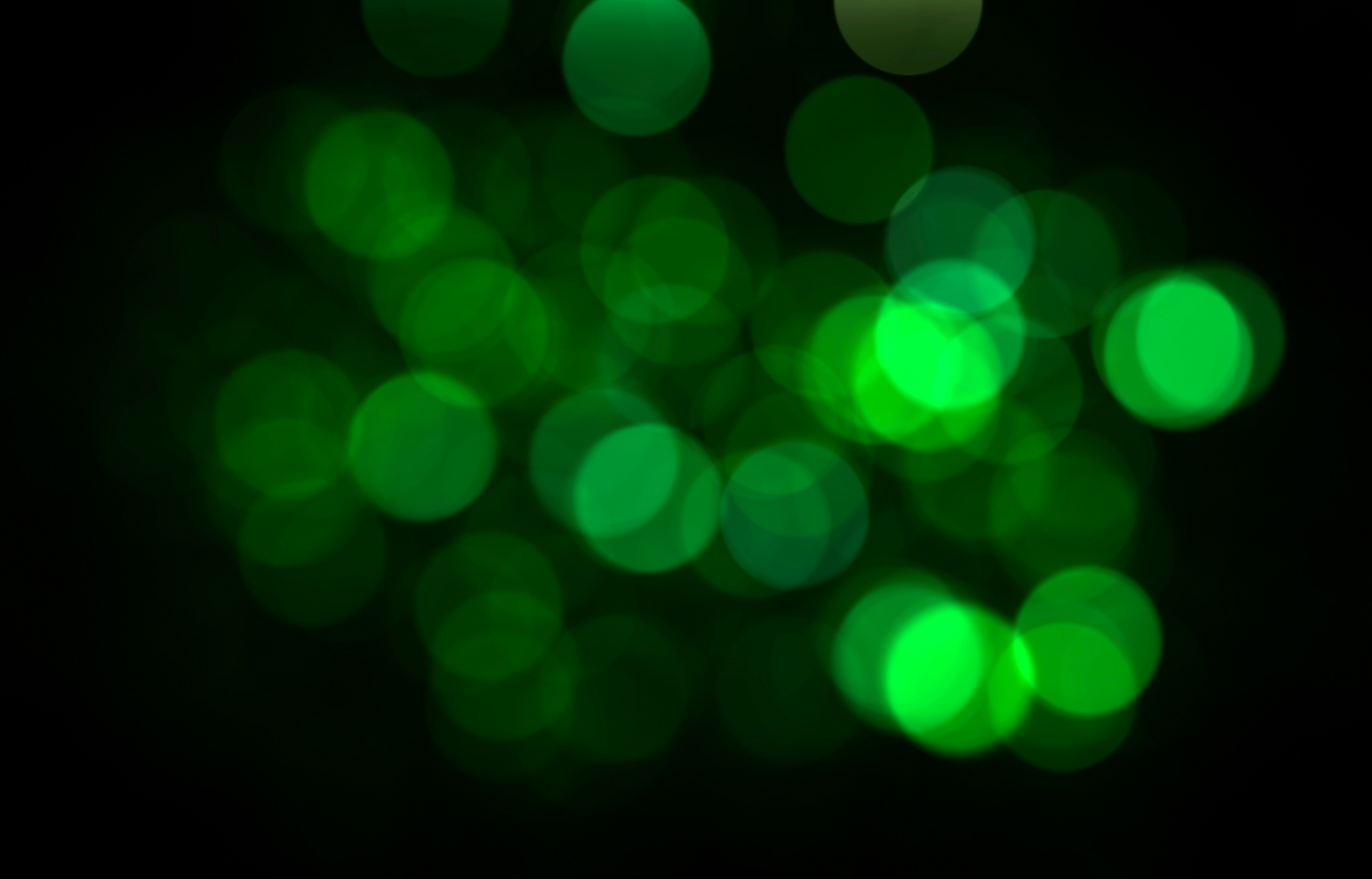 green leaf background. natural green background