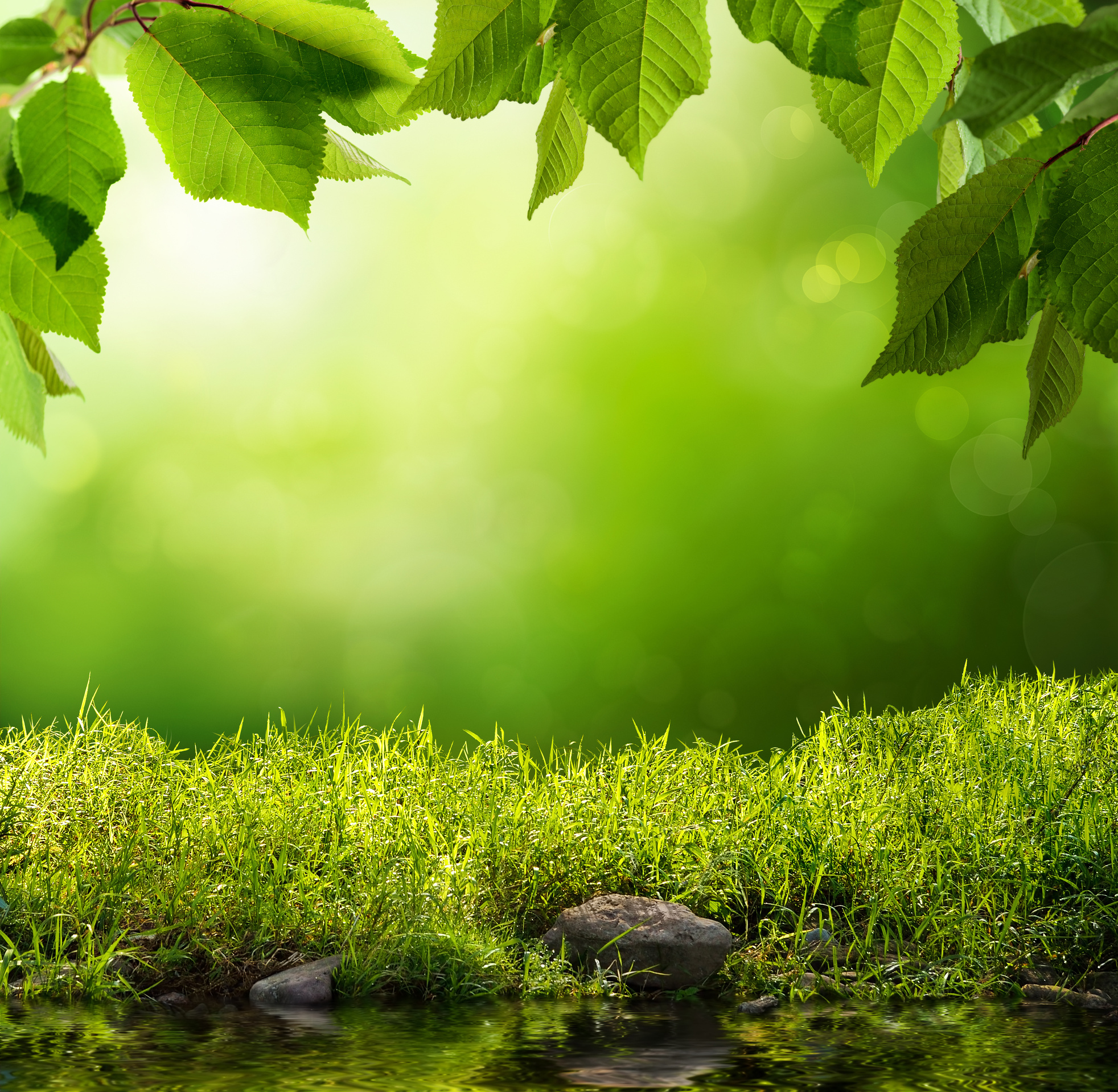 Green nature background